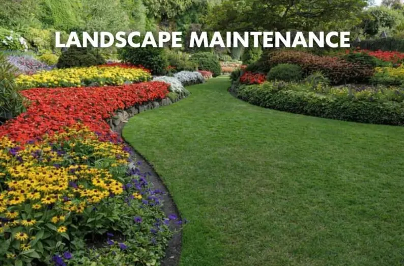 Landscape Maintenance